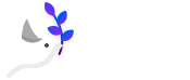 ⻪˷ǽع,عVPN-FlyCN